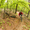 There's lots of fun and flow on the Bayshore Ridge trail.