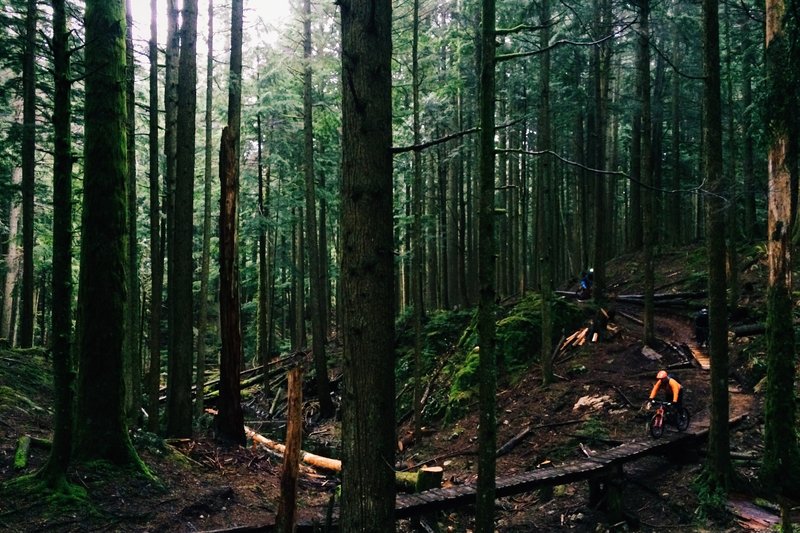 Riding bridges in the rain on Knob Gobbler.