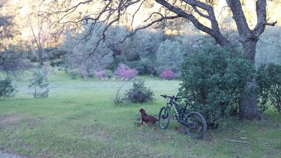 Spring is a great time to hit Pierce Canyon