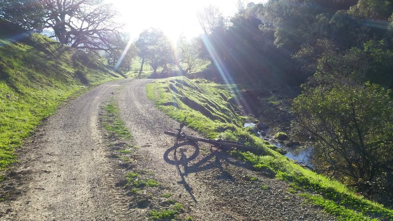 Not bad for a 'road' ride. Pierce Canyon Climb