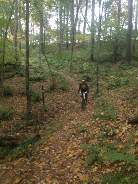 Yellow Creek - Riding in the fall on Handlers Long Haul Trail.