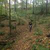 Yellow Creek - Riding in the fall on Handlers Long Haul Trail.