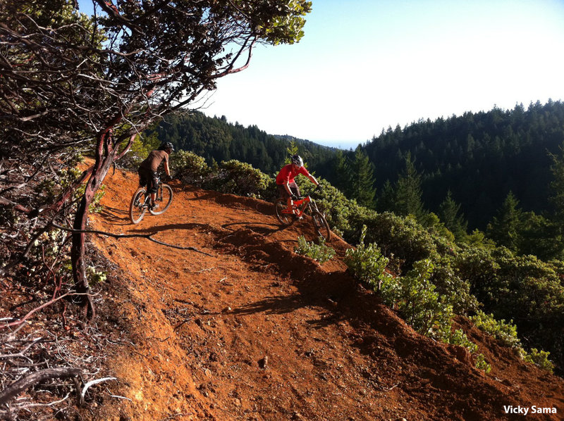 Heading down the switchbacks into the forest on Pacific Rim trail.