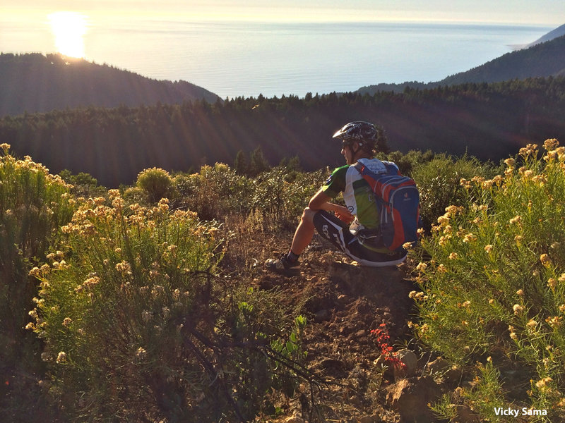 The Pacific Rim trail, part of the Paradise Royale Trail System, offers magnificent views of the Pacific Ocean.