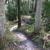 Typical trail at Fort Pierce (FTP)