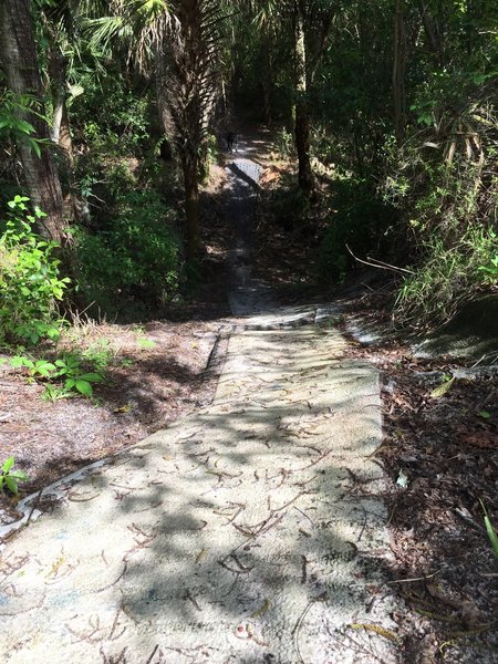 Big Dipper drop at beginning of trail - Fort Pierce (FTP)