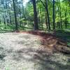 Lean into the berm!  On HALF PIPE trail