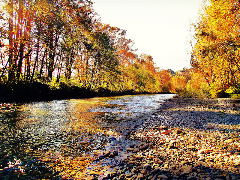 Along the creek on Snoqualmie Valley Trail North