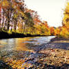 Along the creek on Snoqualmie Valley Trail North