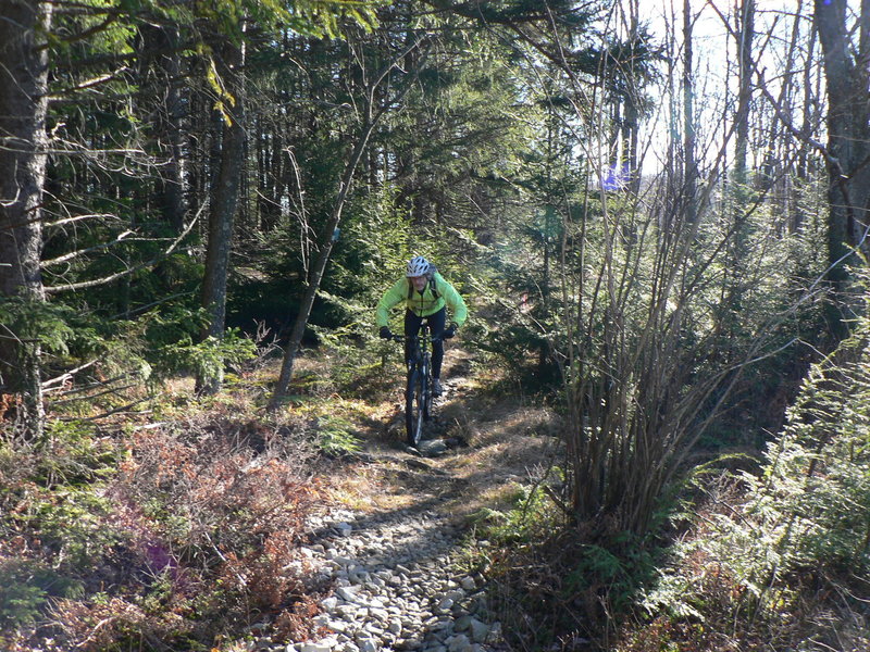 Dobbin House trail