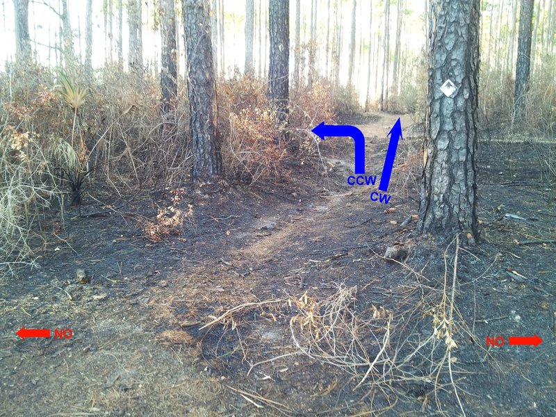 Dutch Tiemann trailhead, as viewed with trailhead sign behind you.