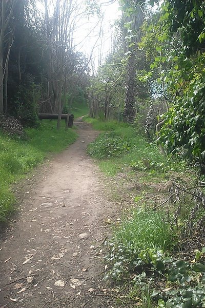 Arroyo Seco Trails. Beautiful scenery and great terrain!