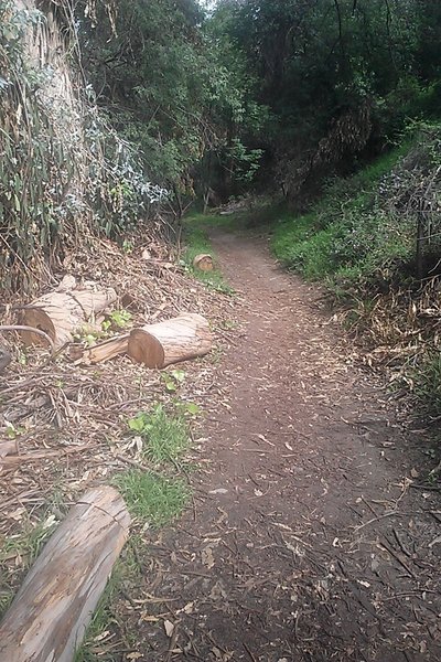 El Prieto trail. Beautiful area other than lots of poison oak!