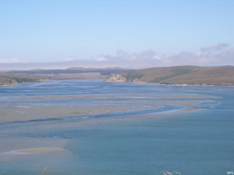 View looking north from near the mouth of Drakes Estero