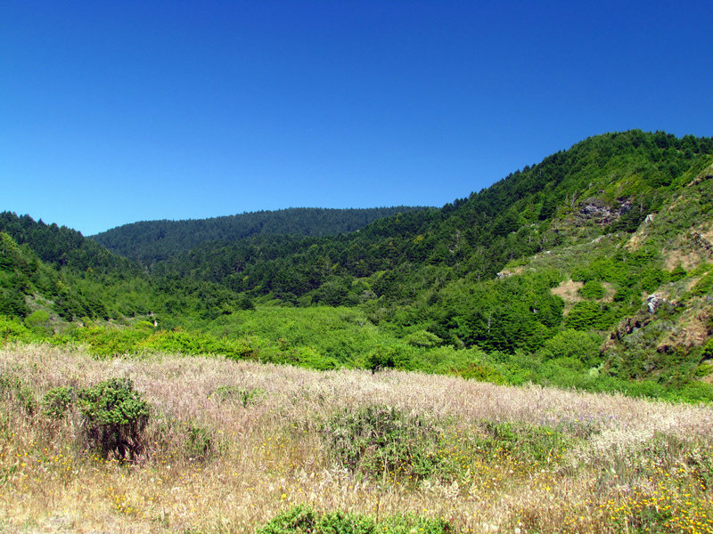 Bear Valley, Point Reyes