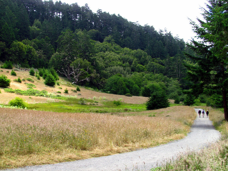 Bear Valley Trail, Point Reyes