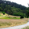 Bear Valley Trail, Point Reyes