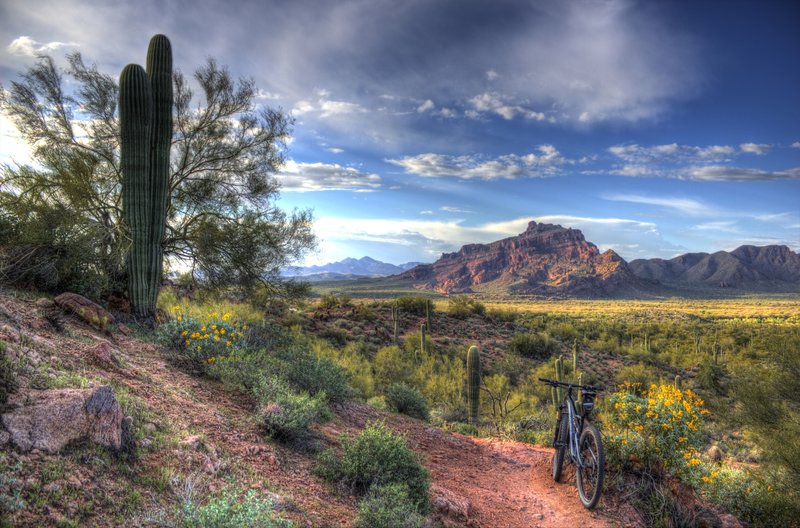 Red Mountain from Upper Ridge Trail