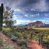 Red Mountain from Upper Ridge Trail