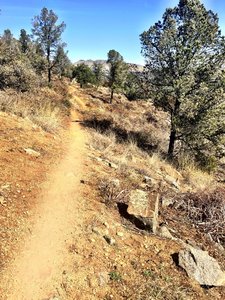 Still climbing on Trail 316 - Pine Lakes Trail with Granite Mountain in the distance
