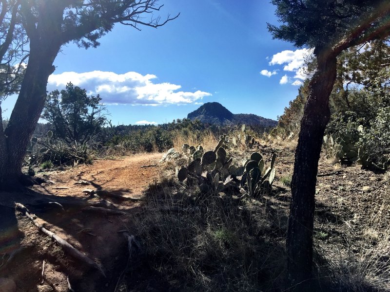 View of Thumb Butte