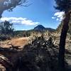 View of Thumb Butte