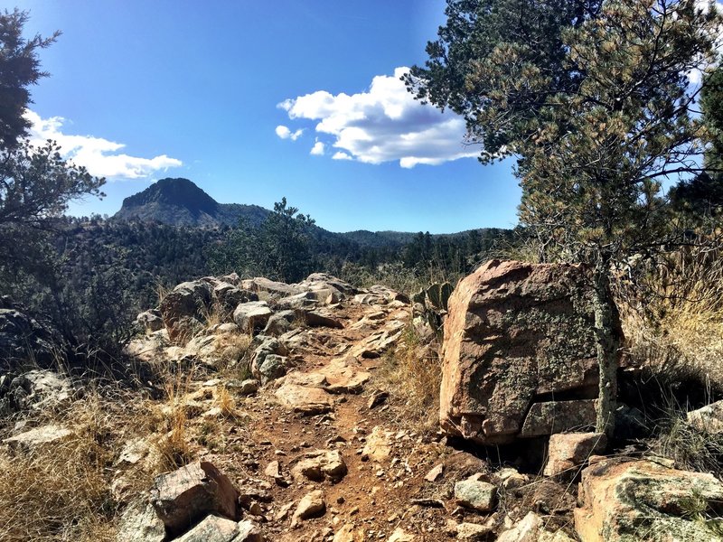 Another view of thumb Butte from Trail 317 - Ridge Top Trail