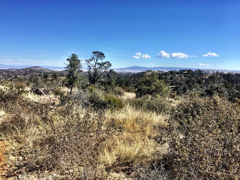 View of Mingus and San Fransisco Peaks from Trail 317 - Ridge Top Trail