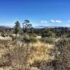 View of Mingus and San Fransisco Peaks from Trail 317 - Ridge Top Trail