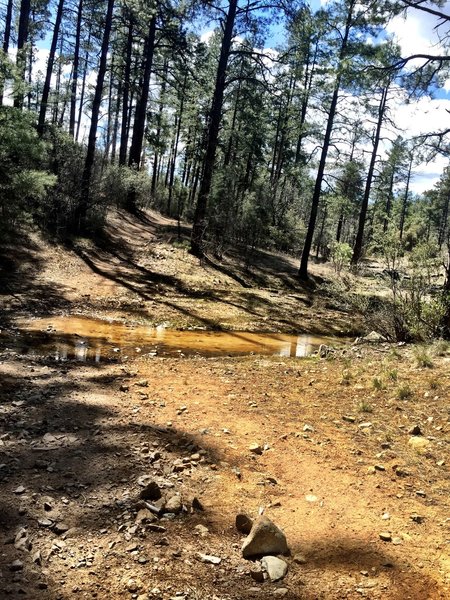 Creek crossing on Trail 392