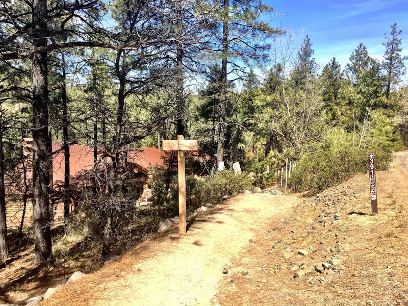 Entrance to Trail 391 from Copper Basin Rd