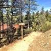 Entrance to Trail 391 from Copper Basin Rd