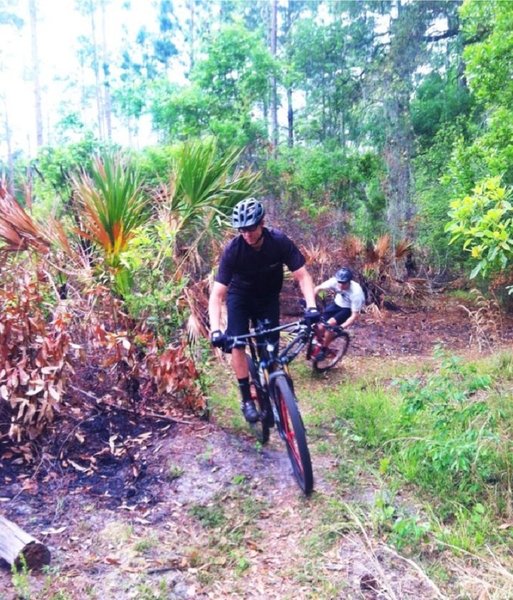 Dirt berm in the East Hammock.