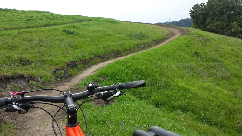 Lots of banked corners on Flowetry In Motion Trail