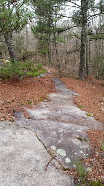 Granite is always popping up at Clinton.  On the Granite Loop Trail