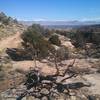 Looking out across the valley toward Mt. Garfield from the Butterknife Trail.