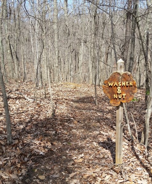 The start of Washer and Nut Trail off Arkansas trail.