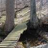 One of the stream crossings on the Burning Biscuit Trail