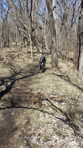 Riding the levy on the West Trail