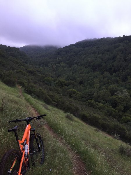 Coming down Thatcher Rim-Rock trail. This downhill section is long and a lot of fun but must be earned with a very strenuous hike-a-bike which, for some, may not be worth it.