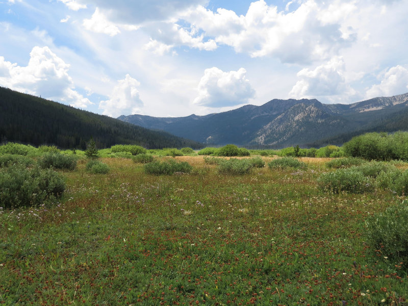 Elk Meadow from the Elk Meadows Trail