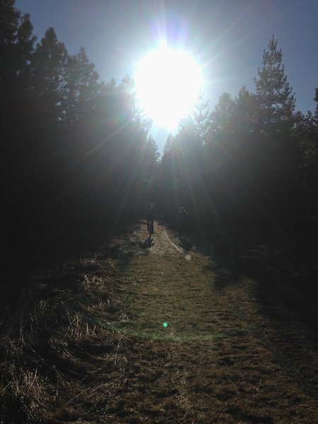 Riding into the sun on the winter day.