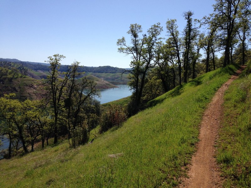 After doing the service road climb this is what you get to look forward to, sweet downhill riding, plus some great views!  On Tower Climb Trail.