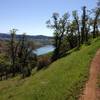 After doing the service road climb this is what you get to look forward to, sweet downhill riding, plus some great views!  On Tower Climb Trail.