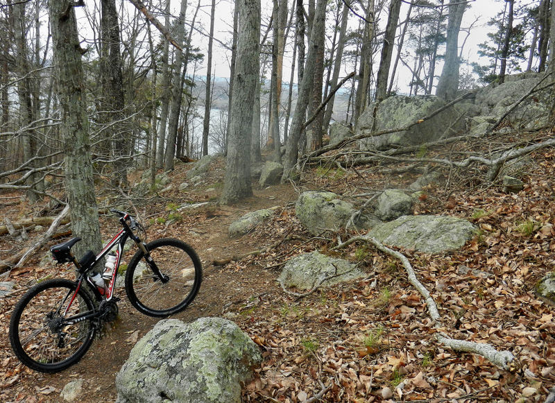 Butler Pass Trail