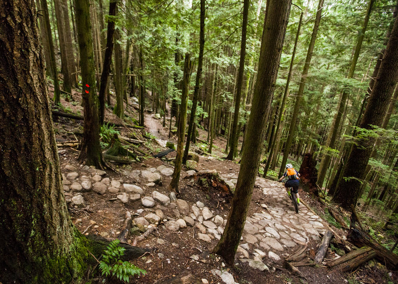 Descending big steeps on Baden Powell trail.