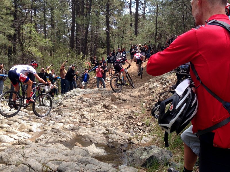 Multiple Pros crossing the creek