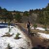 A little snow on the Meadow Trail in late March