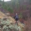 Riding uphill (east) and about to enter the trees on the Shingle Creek Trail.