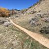 Nice mellow singletrack follows the creek all the way up the gulch.  On the Five Mile Gulch Trail.